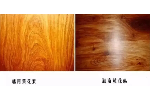 海南黄花梨VS越南黄花梨