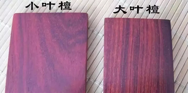 小叶紫檀VS大叶紫檀